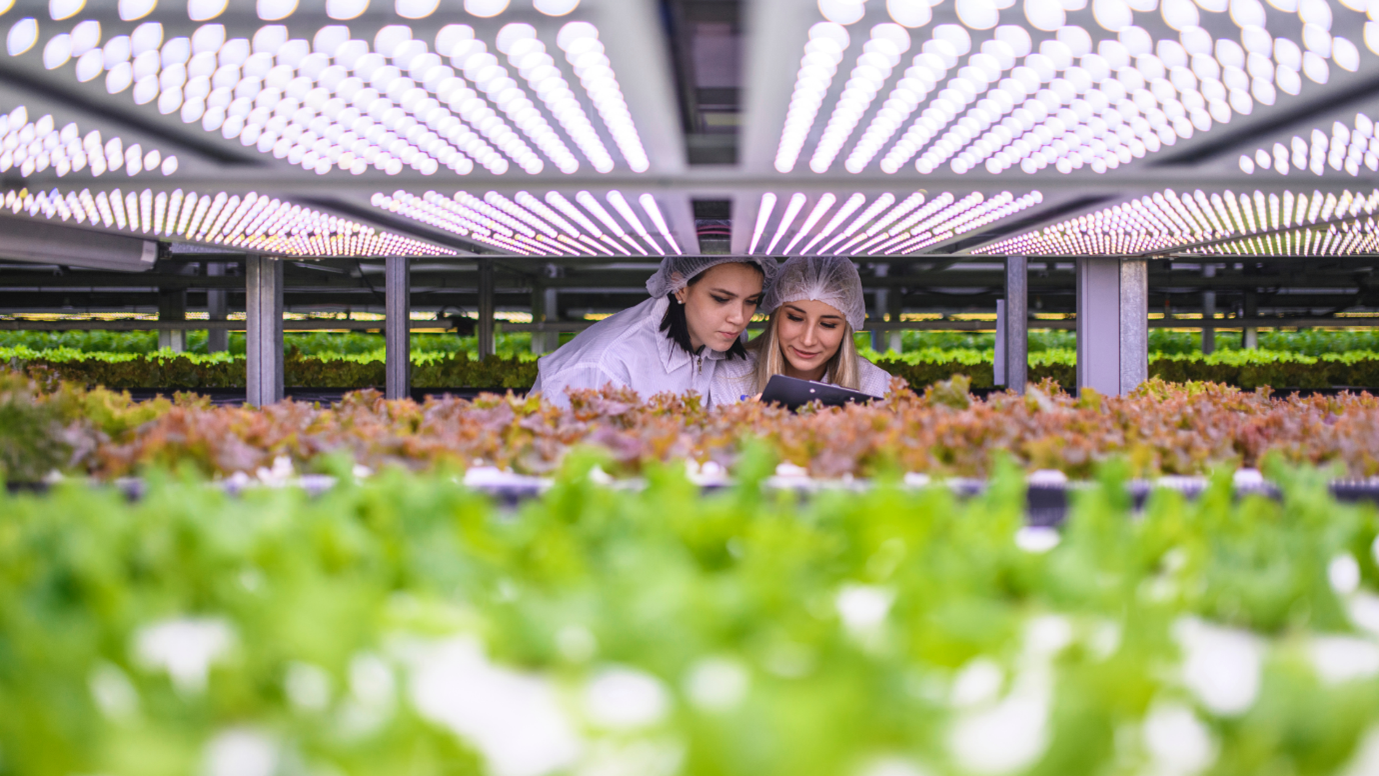 World Agri-Tech Summit 2022: Is there enough ‘agri’ in agri-tech? Image