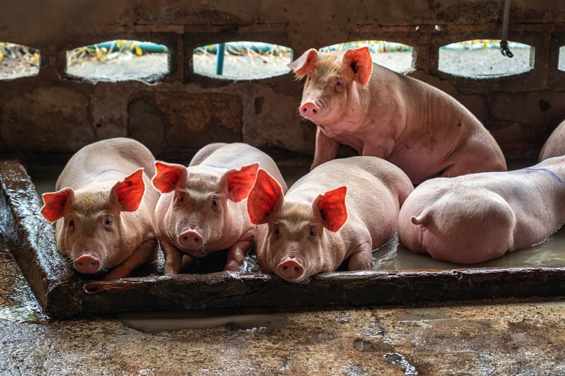 Farm Business Survey Feature Image