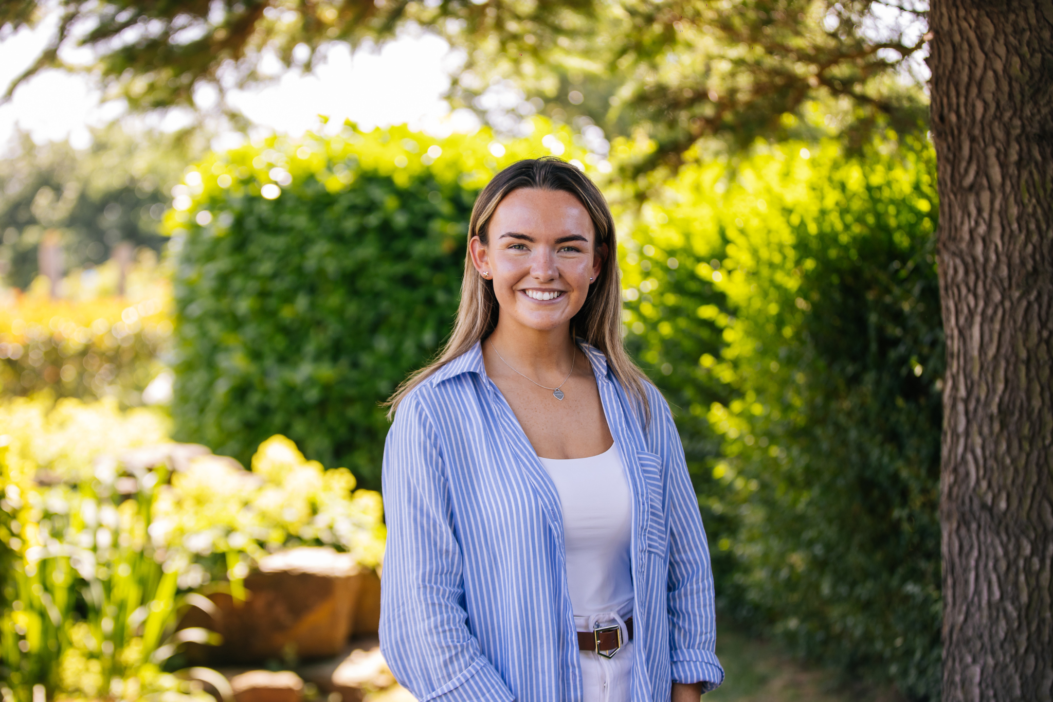 From University to Agency Life: My Week at Hillsgreen Image